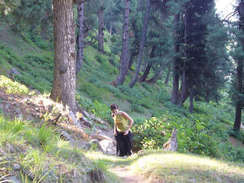 Travel - India - Kashmir - Pahalgam - Around Bentes Lodge
